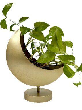 Gold Tone Crescent Moon Pedestal Planter Candle Holder Celestial Whimsigoth